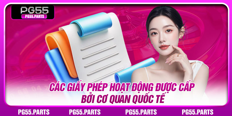 Các giấy phép hoạt động được cấp bởi cơ quan quốc tế
