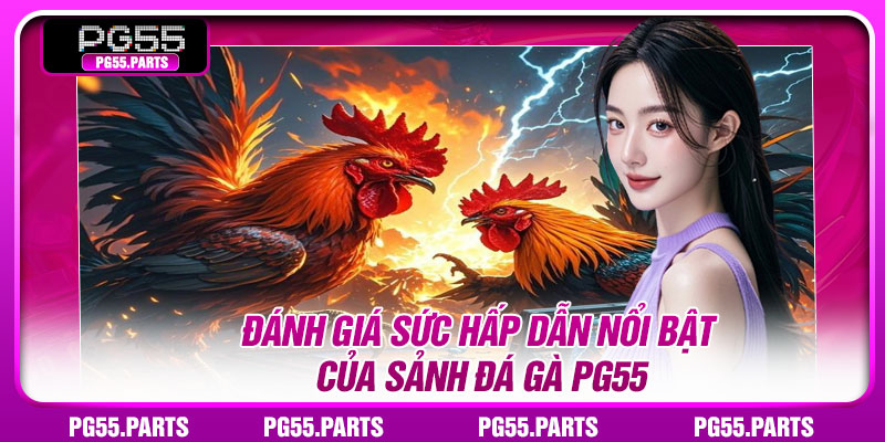 Đánh giá sức hấp dẫn nổi bật của sảnh đá gà PG55