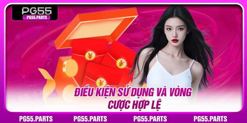 Điều kiện sử dụng và vòng cược hợp lệ