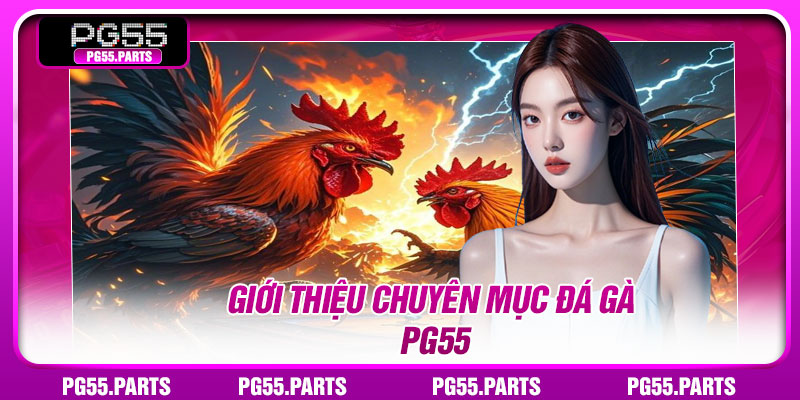 Giới thiệu chuyên mục đá gà PG55